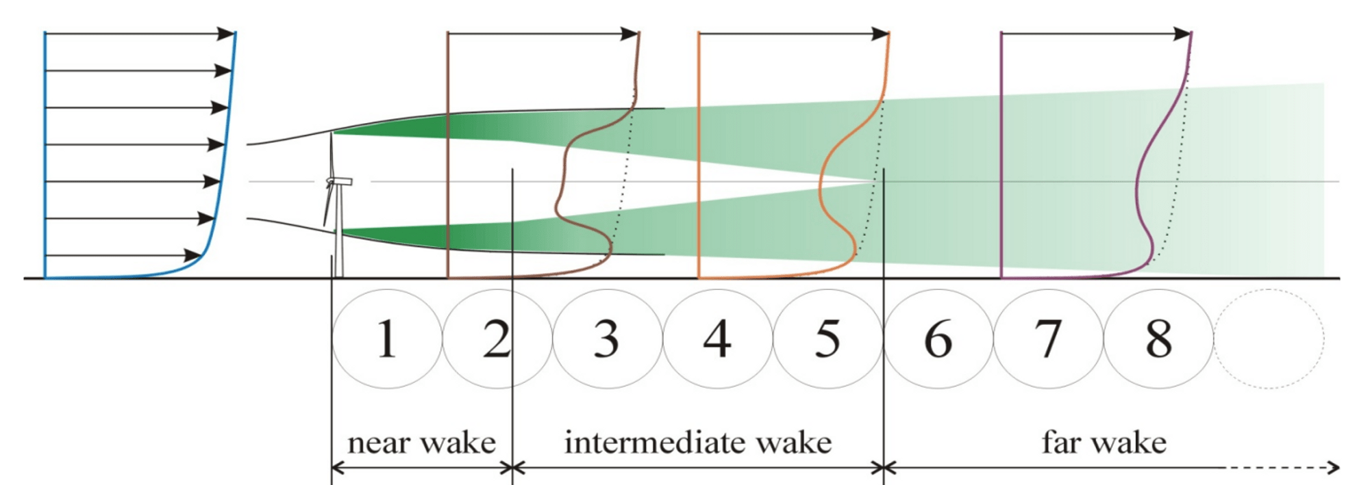 Division in wake